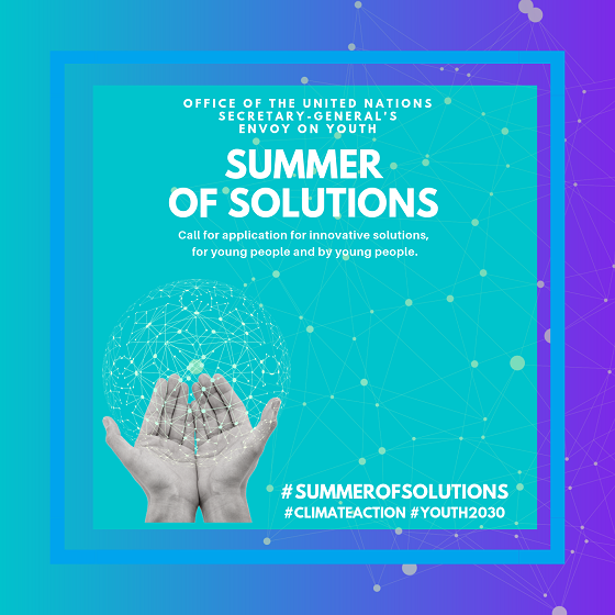 Summer of Solutions United Nations event poster
